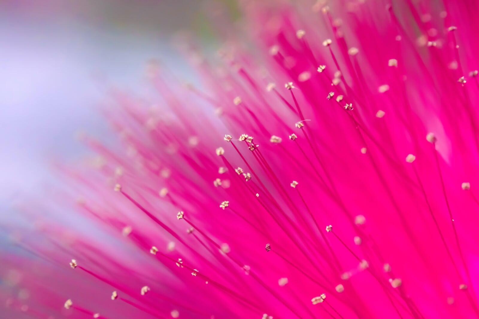 Tisdagsseminarier med Gestalt Inspiration • Kunskap • Gemenskap